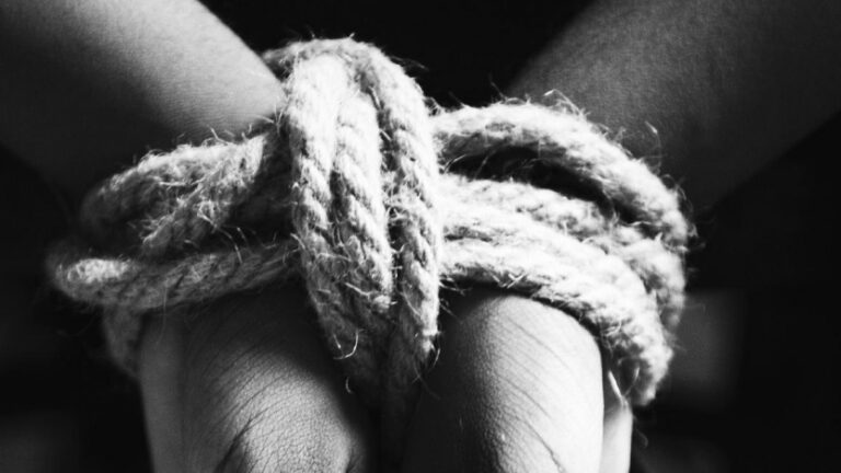 67637b5c3a9e5.r_d.596-47