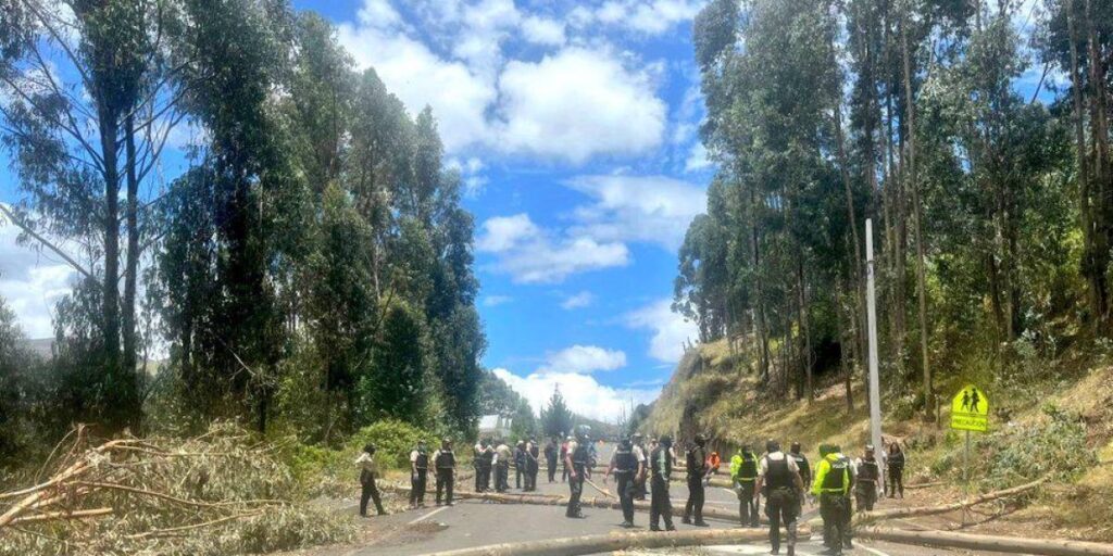 g2mqj3twoaafhxl_2462421_20251007140855