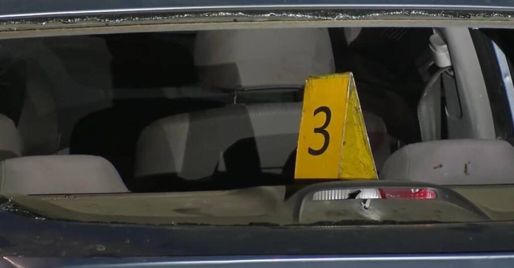 whatsapp-image-2025-10-01-at-6-25_2450296_20251001062759