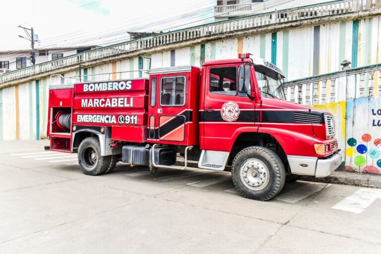 WhatsApp Image 2025-11-25 at 6.40.43 PM