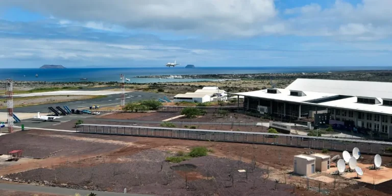 whatsapp-image-2025-11-01-at-11-21_2505709_20251101113420