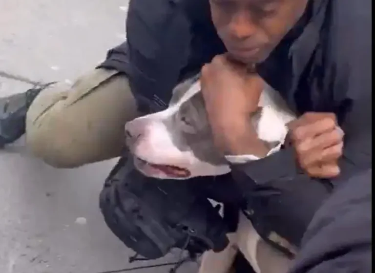 g88ewtzxwaayvrv_2595040_20251224130739