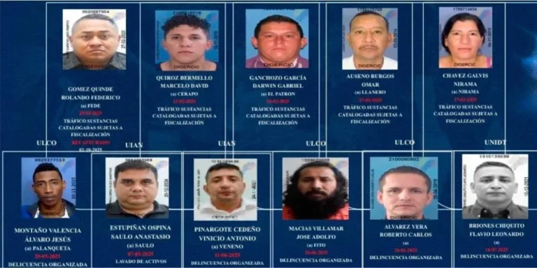 portada-72_2583167_20251217085038