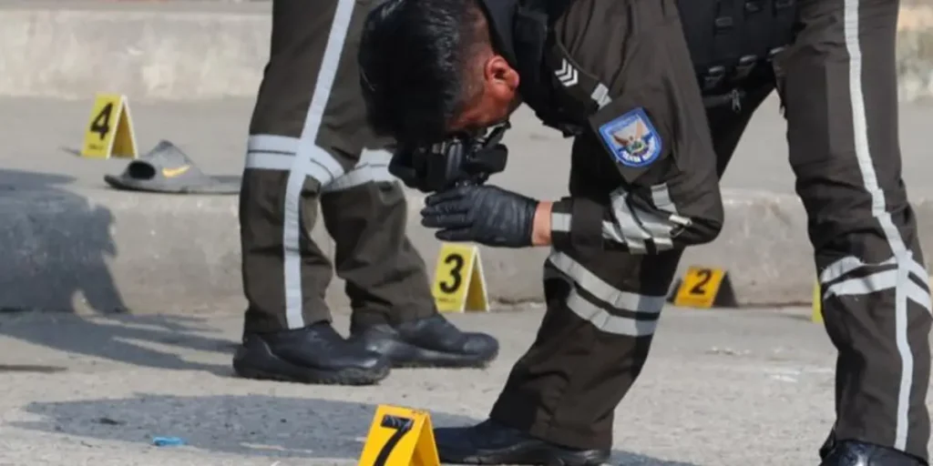 whatsapp-image-2025-12-06-at-18-30_2565088_20251206183746