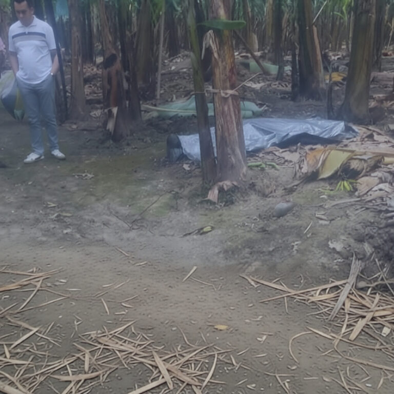 465a99e1-31e0-402d-88e8-d5fb1b5a87bb_0