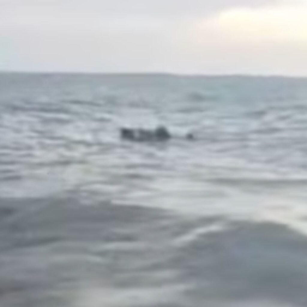 WhatsApp Image 2026-01-27 at 1.41.02 PM