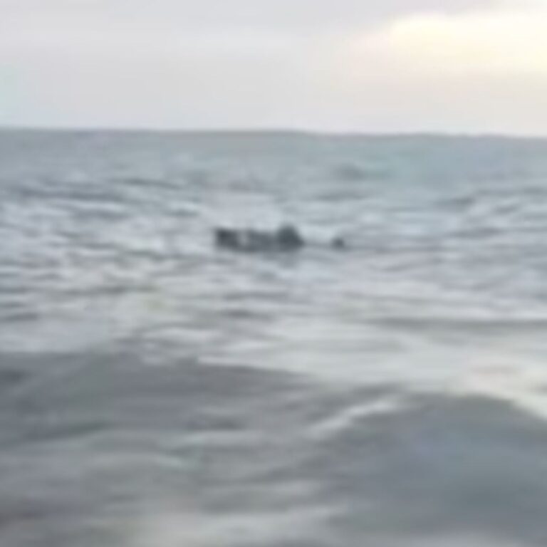 WhatsApp Image 2026-01-27 at 1.41.02 PM