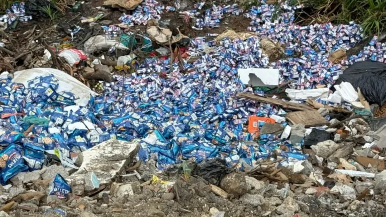 whatsapp_image_2026-01-07_at_8_28_53_am.jpeg_1889315685