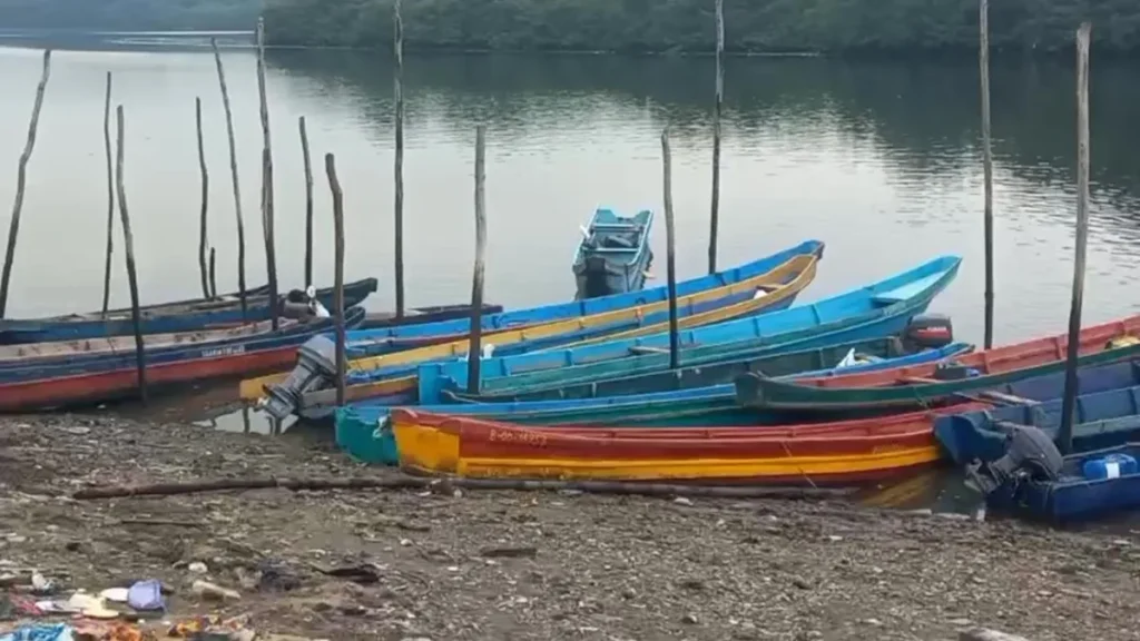 whatsapp_video_2026-01-27_at_08_54_51_-_frame_at_0m0s.jpg_2085830207