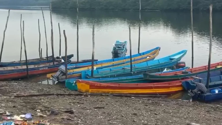 whatsapp_video_2026-01-27_at_08_54_51_-_frame_at_0m0s.jpg_2085830207