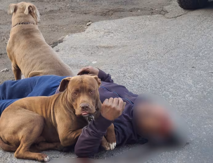 2N27YSUZXFF53CWZW6H6WU2BZA