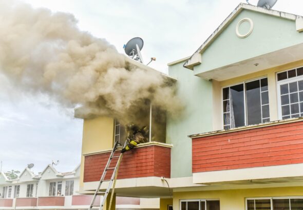 WhatsApp Image 2026-02-11 at 12.34.16 PM