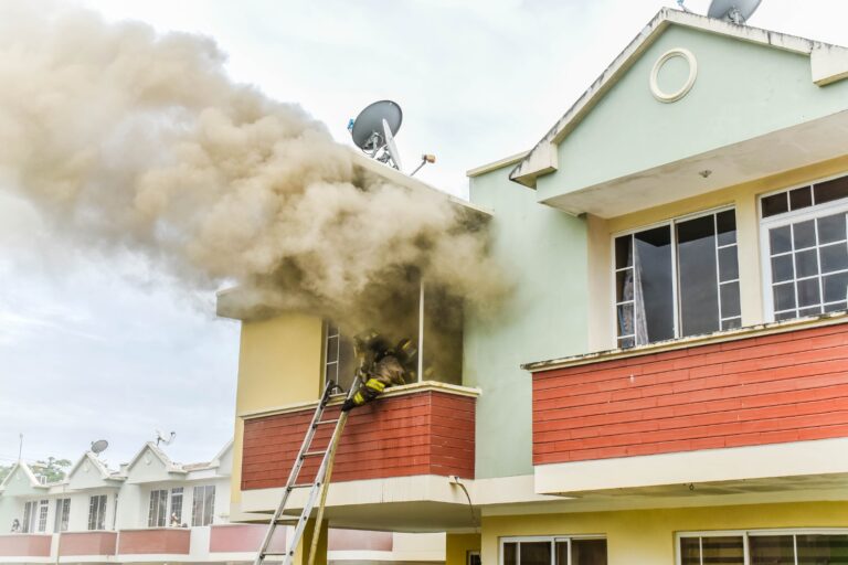 WhatsApp Image 2026-02-11 at 12.34.16 PM