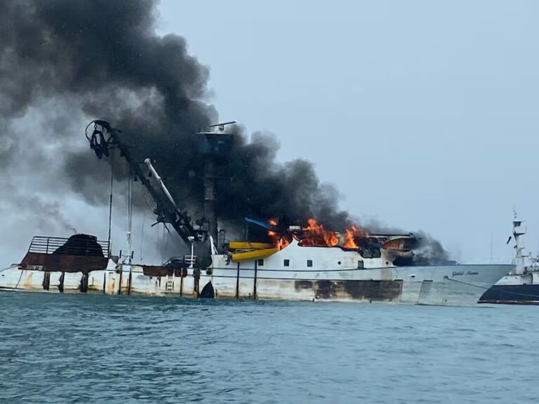 ZOONE2BD2ZFYPJMX5NYMY6MQWE