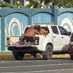 1633c48d-defd-420b-9b7a-8c5d6ed2e4fe_0