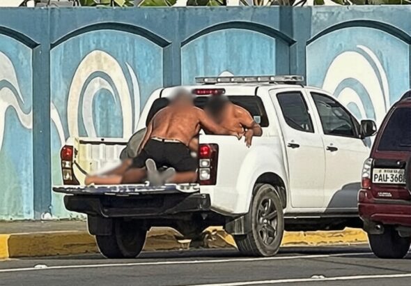 1633c48d-defd-420b-9b7a-8c5d6ed2e4fe_0