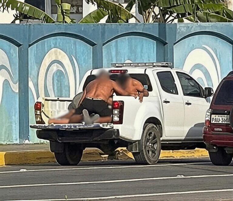 1633c48d-defd-420b-9b7a-8c5d6ed2e4fe_0