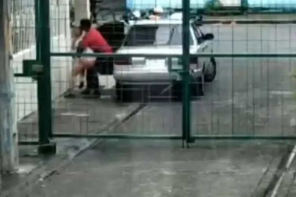 17161D524C43476D15130F55554946761F131F1853444C771C15-1200x800