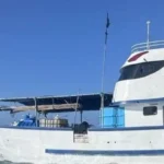 17161D524C43476D16160F54564947751F131918534B45781C14-1200x800