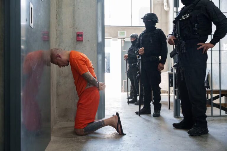 YE7TIXMTNFG4NDW7K6GTT3VQSE