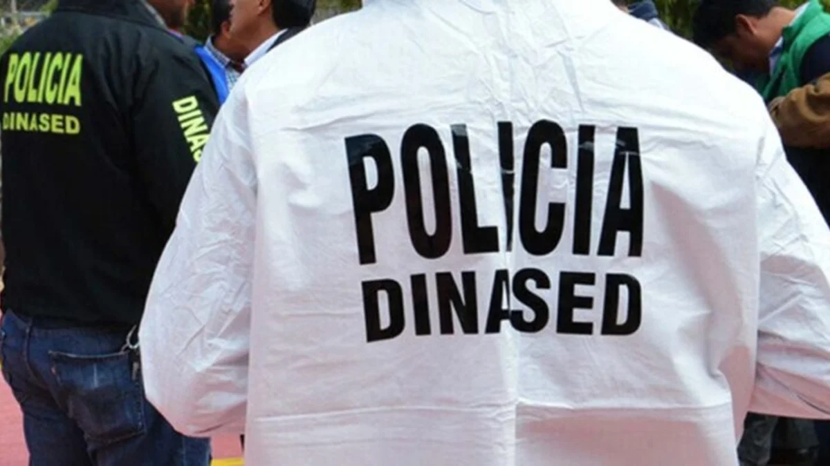 dinased_-700x391-1-700x391-1.jpg_1103262776