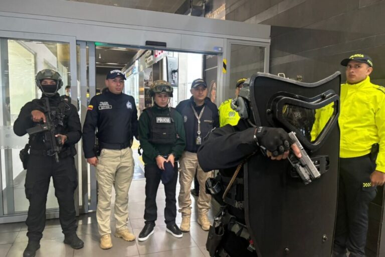 lobo-menor-ecuador-1024x683