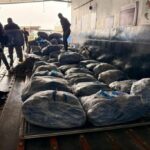 aletas-tiburon-1024x683