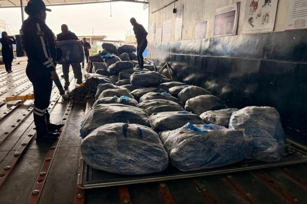 aletas-tiburon-1024x683