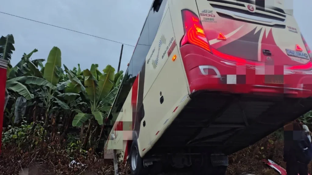 hgl-_e1xwaancy7.jpg_965539180