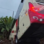 hgl-_e1xwaancy7.jpg_965539180