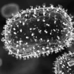 whatsapp_image_2026-04-02_at_10_29_07_pm.jpeg_1103262774