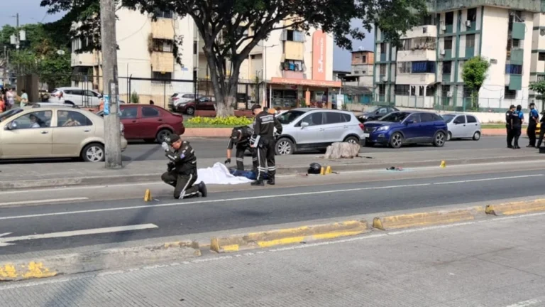 whatsapp_image_2026-04-25_at_3_31_23_pm.jpeg_1103262774